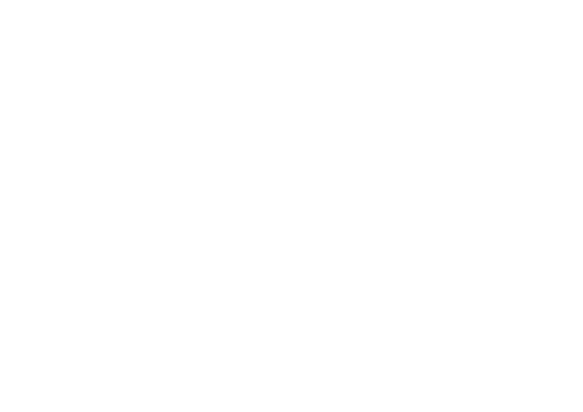 Flexteam